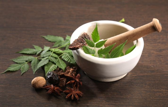 medicinal neem leaves